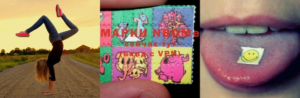 бошки Аркадак