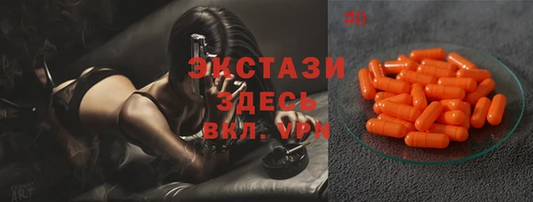 стафф Арсеньев