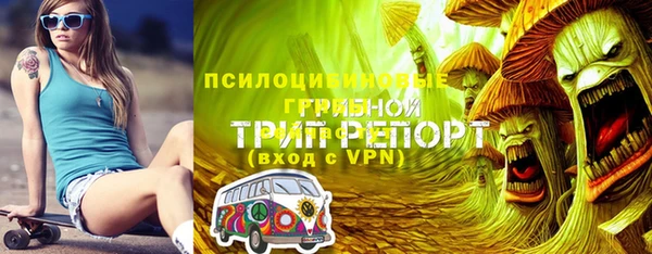 бошки Аркадак