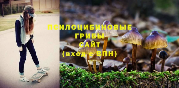 стафф Арсеньев