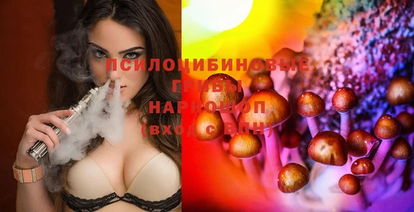 бошки Аркадак