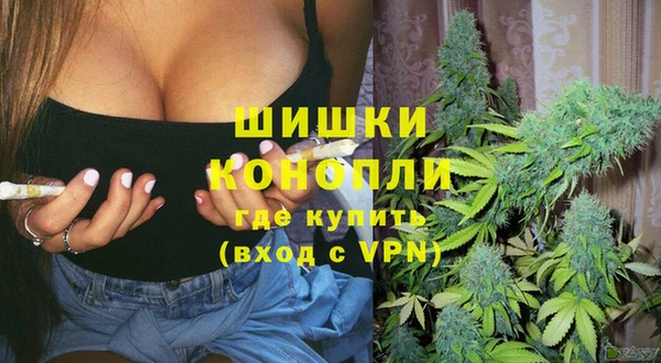 бошки Аркадак